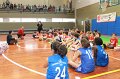 Basket + Amico Uisp (86)